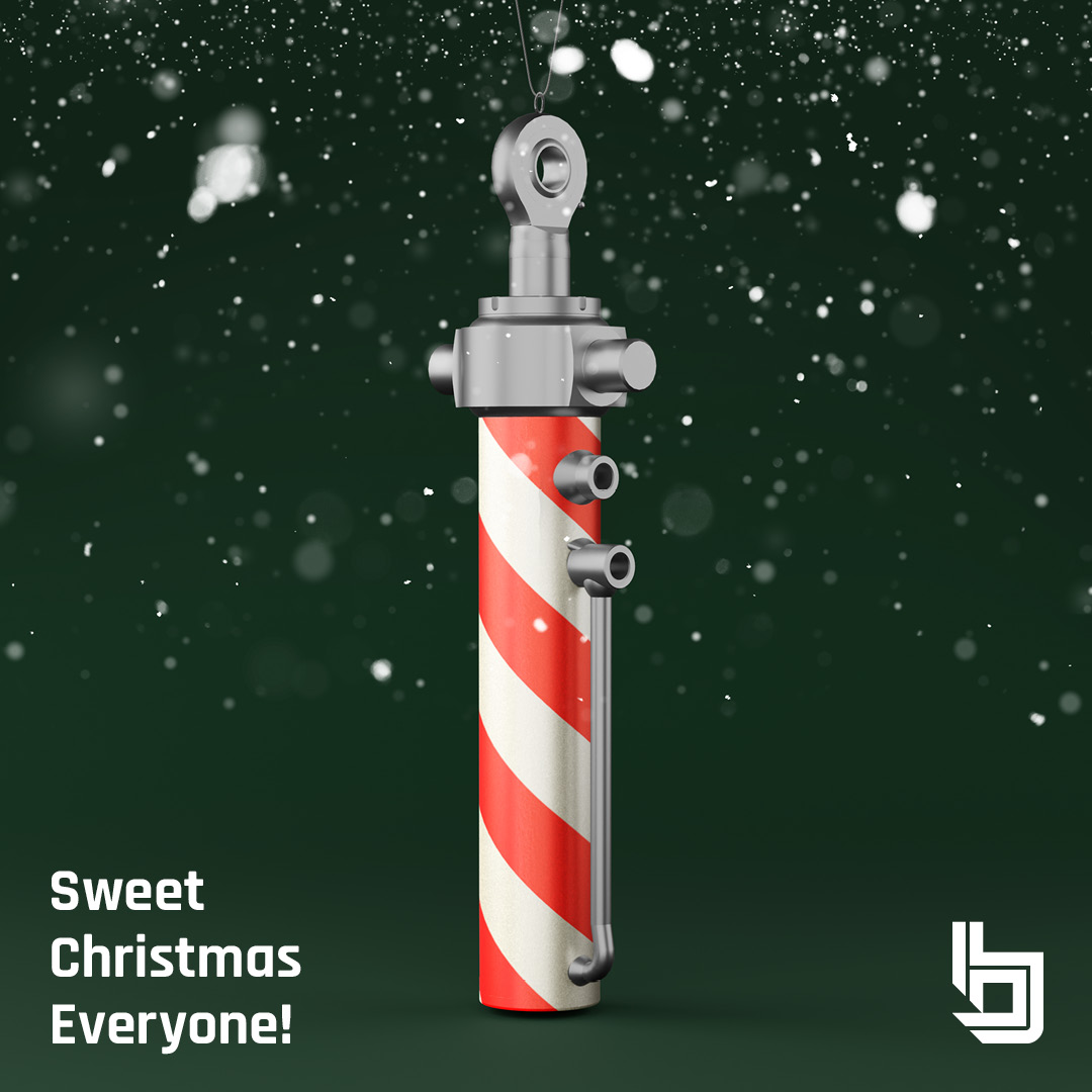 Un caloroso augurio di Buon Natale dal team Bicelli!